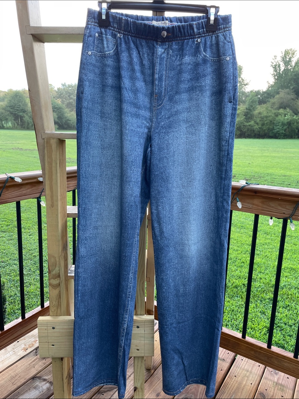 AnyBody Indigo Wide Leg Pull-On Faux Jeans